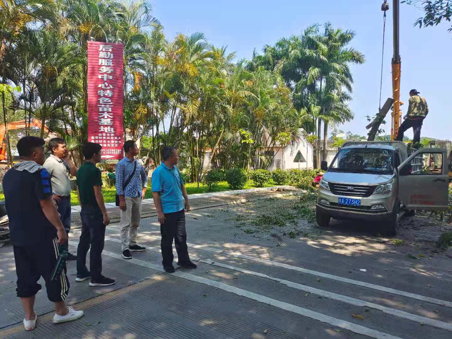 查看高大枯死树木清理工作.jpg 查看高大枯死树木清理工作.jpg