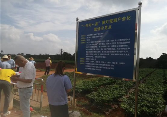 街道边立着广告牌子

描述已自动生成