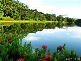 兴隆热带植物园风光