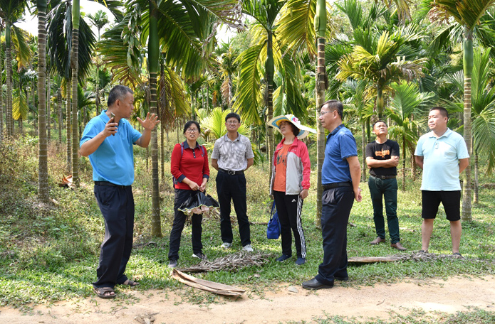 11111111.jpg 11111111.jpg