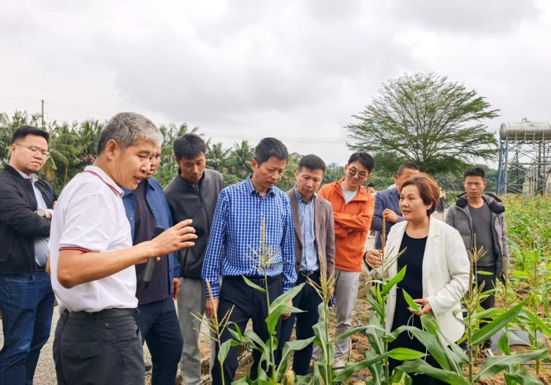 6cfa7a29bb3bdbcd99c2edd174d0ef51 6cfa7a29bb3bdbcd99c2edd174d0ef51