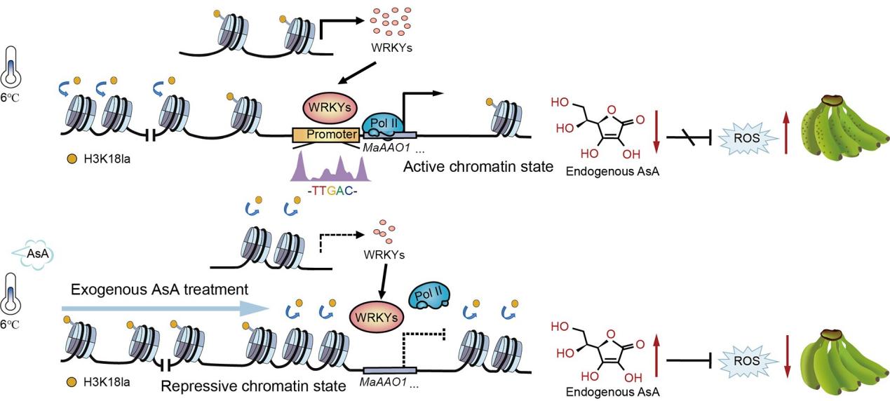 图示AI 生成的内容可能不正确。 图示AI 生成的内容可能不正确。