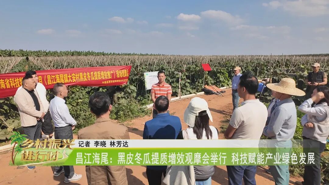 微信图片_2026-02-09_155544_420